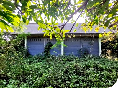 Houses for sale Chiang Mai : FOR SALE  HOUSE PROPERTY  918000 BAHT.