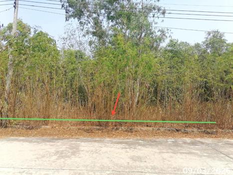 รูป ที่ดินว่างเปล่า 800 ตร.วา บางไทร พระนครศรีอยุธยา 6.4M - รูปที่ 9/12