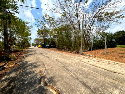 ที่ดิน ถนนรังสิต-นครนายก : ขายที่ดินเปล่า รังสิต-นครนายก คลอง11 (ถมที่เรียบร้อยแล้ว)