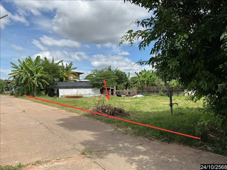 picture LAND 210 Sq.w. Wang Sam Mo Udon Thani for 2M - 9/12