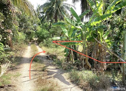 picture LAND 2400 Sq.w. Damnoen Saduak Ratchburi for 7.2M - 9/12