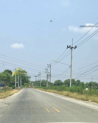 ที่ดิน นิคมทีเอฟดี : ขายที่สีม่วง 50 ไร่ ใกล้สนามบินสุวรรณภูมิ ต.บางพลีน้อย อ.บางบ่อ จ.สมุทรปราการ