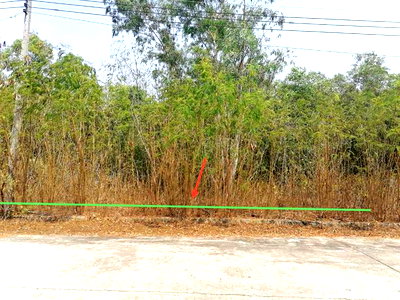 ขายที่ดิน : ที่ดินว่างเปล่า 800 ตร.วา บางไทร พระนครศรีอยุธยา 6.4M