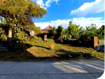 Houses for sale Thoeng Chiang Rai : FOR SALE  HOUSE PROPERTY  1036000 BAHT.