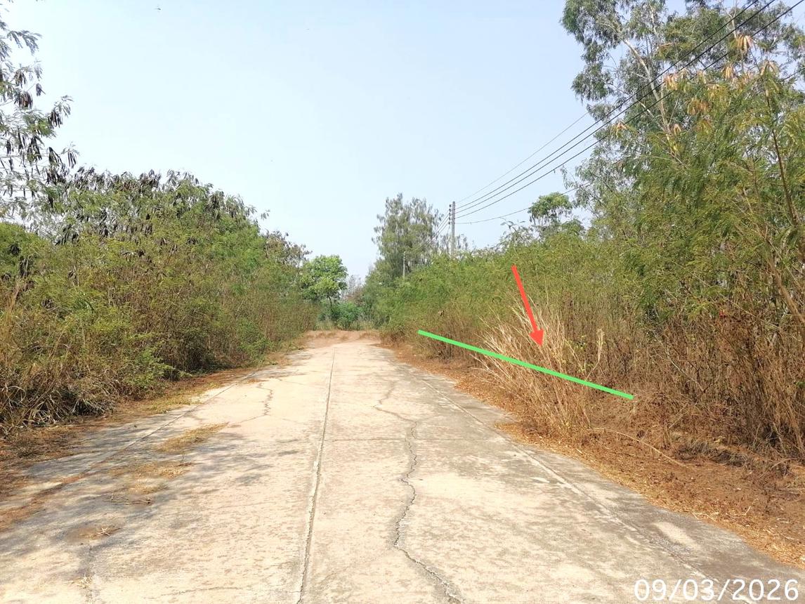 รูป ที่ดินว่างเปล่า 800 ตร.วา บางไทร พระนครศรีอยุธยา 6.4M - รูปที่ 6/12