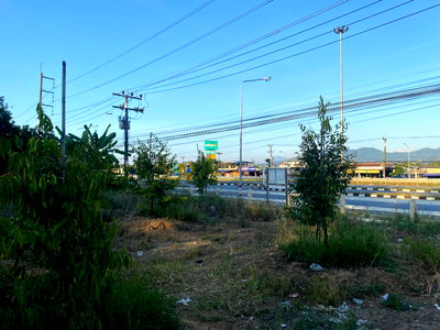 ที่ดิน เวียงสระ สุราษฎร์ธานี : ที่ดินมีรายได้ ทำเลอนาคต ตรงข้ามโลตัสเวียงสระ