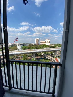 picture For rent  -  Chewathai phetkasem 27 - 22/22