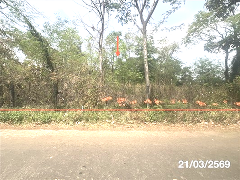 ที่ดินว่างเปล่า 4050 ตร.วา ม่วงสามสิบ อุบลราชธานี 4.3M