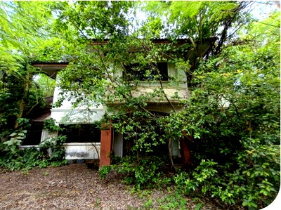 Houses for sale Mae Fah Luang University : FOR SALE  HOUSE PROPERTY  5294000 BAHT.