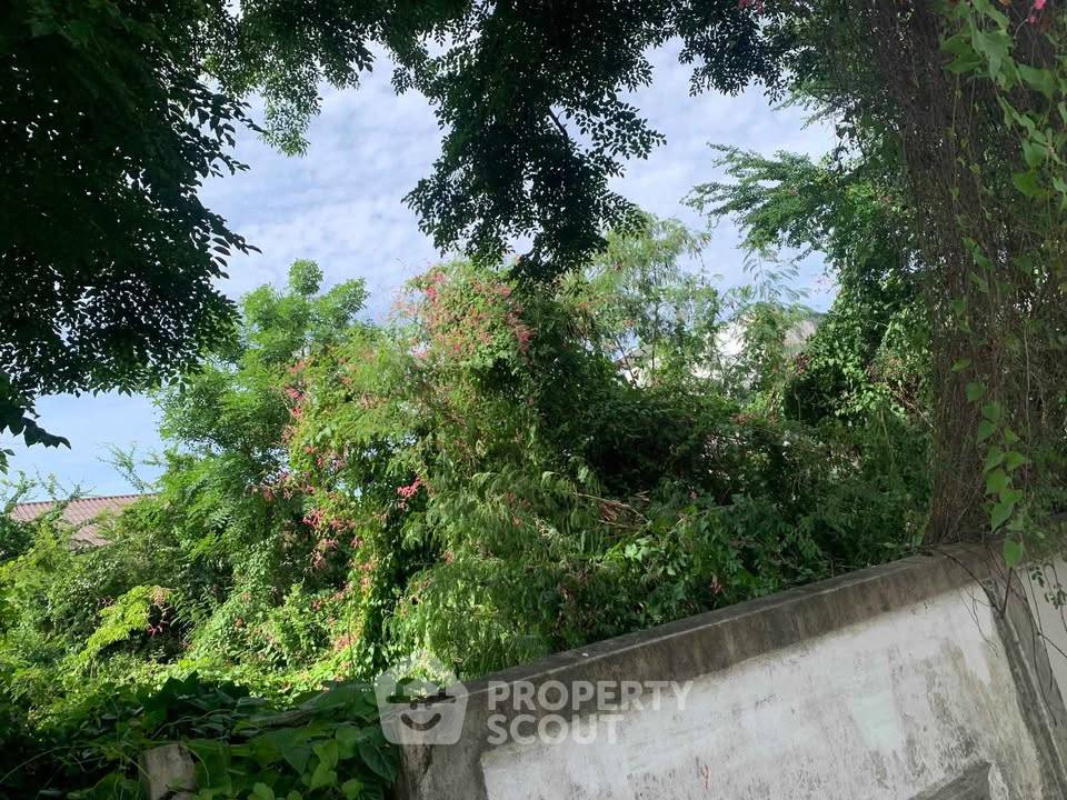 รูป ที่ดินสำหรับปล่อยขาย 476 ตารางเมตร แถว ใน สะพานสูง (ID 2756033) - รูปที่ 1/9