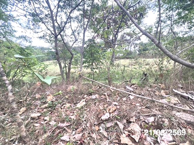 picture LAND 4050 Sq.w. Muang Samsip Ubon Ratchathani for 4.3M - 7/18