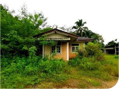 Houses for sale : FOR SALE  HOUSE PROPERTY  1367000 BAHT.