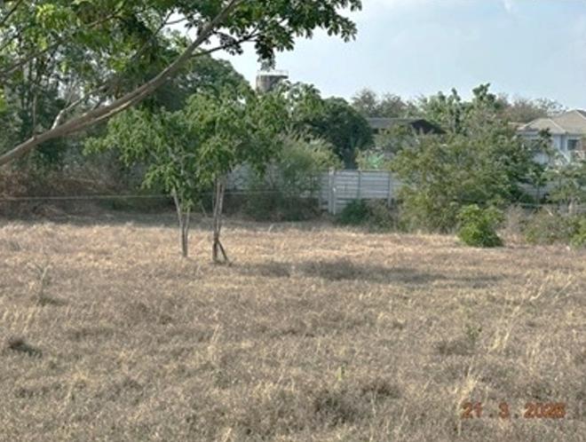 picture LAND 1355 Sq.w. Chiang Yun Maha Sarakham for 5.5M - 8/22