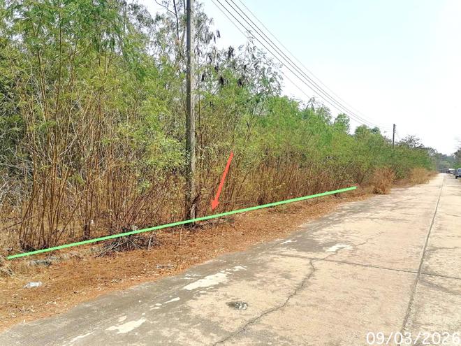 รูป ที่ดินว่างเปล่า 800 ตร.วา บางไทร พระนครศรีอยุธยา 6.4M - รูปที่ 3/12