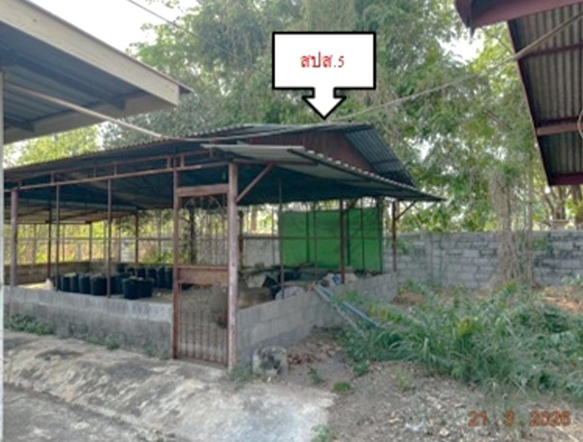 picture HOME 652 Sq.w. Chiang Yun Maha Sarakham for 13.5M - 40/48