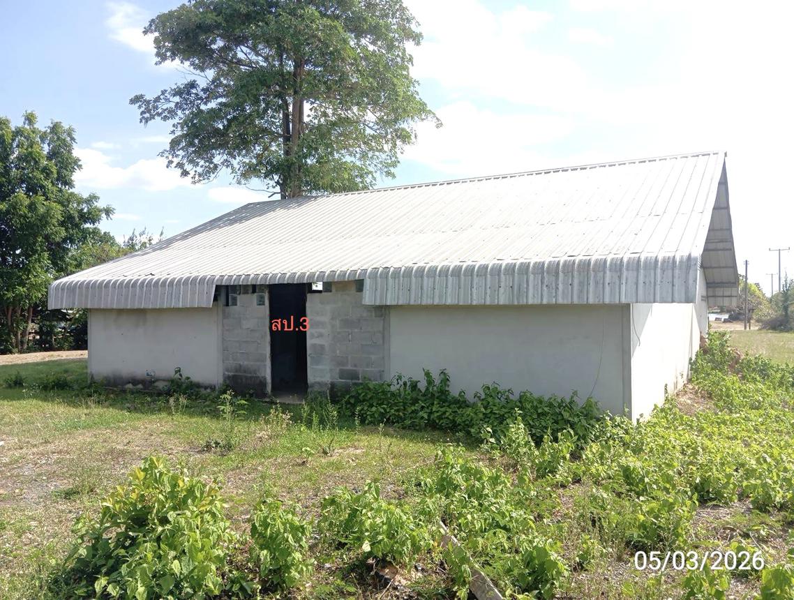 รูป บ้านเดี่ยว 1327 ตร.วา ปราสาท สุรินทร์ 2.8M - รูปที่ 31/40