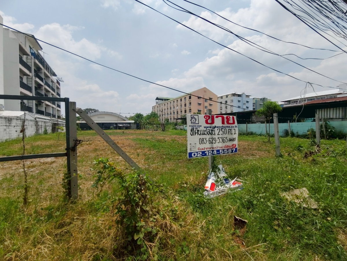 รูป ที่ดินเปล่า ทำเลดี ถมแล้ว หน้ามหาวิทยาลังรังสิต เนื้อที่ 250 ตารางวา ตำบลหลักหก อำเภอเมืองปทุมธานี จังหวัดปทุมธานี    - รูปที่ 3/11