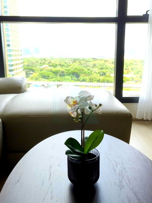 Condos for rent : 🎉 For Rent Condo THE PRIVACY JATUJAK Building 1, Floor 15,2 bed room, Room size 53.00 sqm