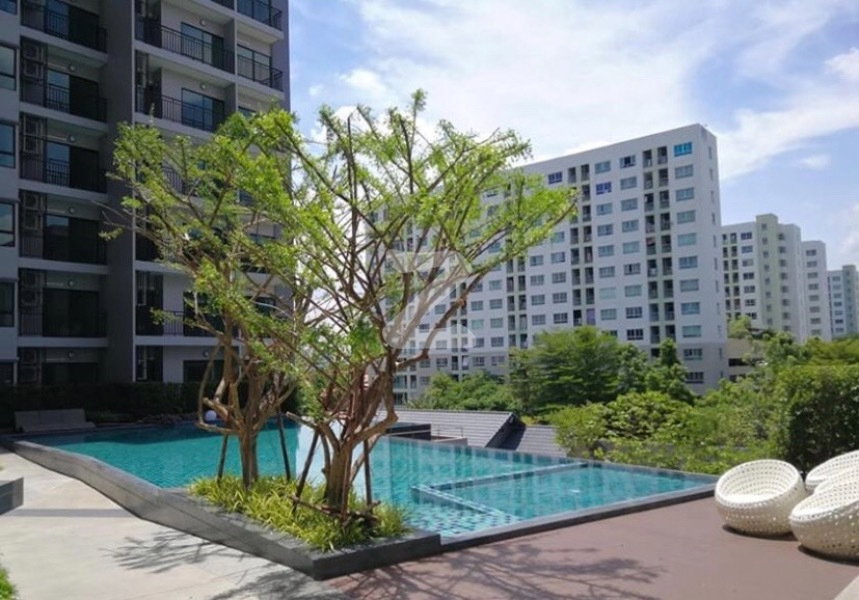 รูป ปล่อยเช่า ศุภาลัยซิตี้ รีสอร์ท พระราม 8 ราคาดี แต่งสวยพร้อมเข้าอยู่ เฟอร์เครื่องใช้ไฟฟ้าครบ - รูปที่ 11/12