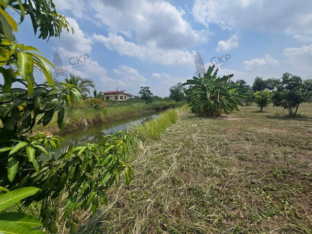 รูป ขาย ที่ดินเปล่า 1 ไร่ ทำเลน่าอยู่ใกล้ตัวเมืองนครนายก รายล้อมด้วยตลาด เหมาะทั้งสร้างบ้านพักอาศัย บ้านสวน หรือซื้อเก็บเพื่อต่อยอดในอนาคต | รหัส 93333 - รูปที่ 7/11