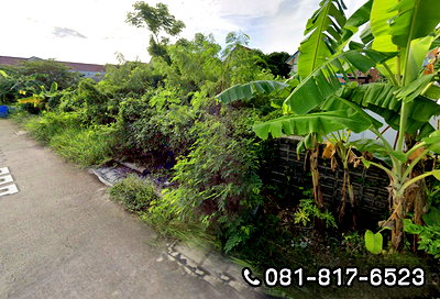 Land for sale Lam Luk Ka : Land for sale Lam Luk Ka Pathum Thani
