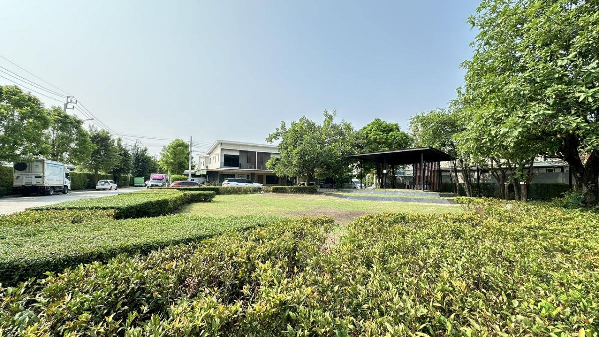 รูป K-104💢หลังมุม เช่า22,500 🌵🌈 The Connect แจ้งวัฒนะ-ติวานนท์ 🌵🌈 เหมาะสำหรับทำออฟฟิศสำนักงานหรือพักอาศัย บ้านอยู่หน้าสนามหญ้าในหมู่บ้าน - รูปที่ 26/27