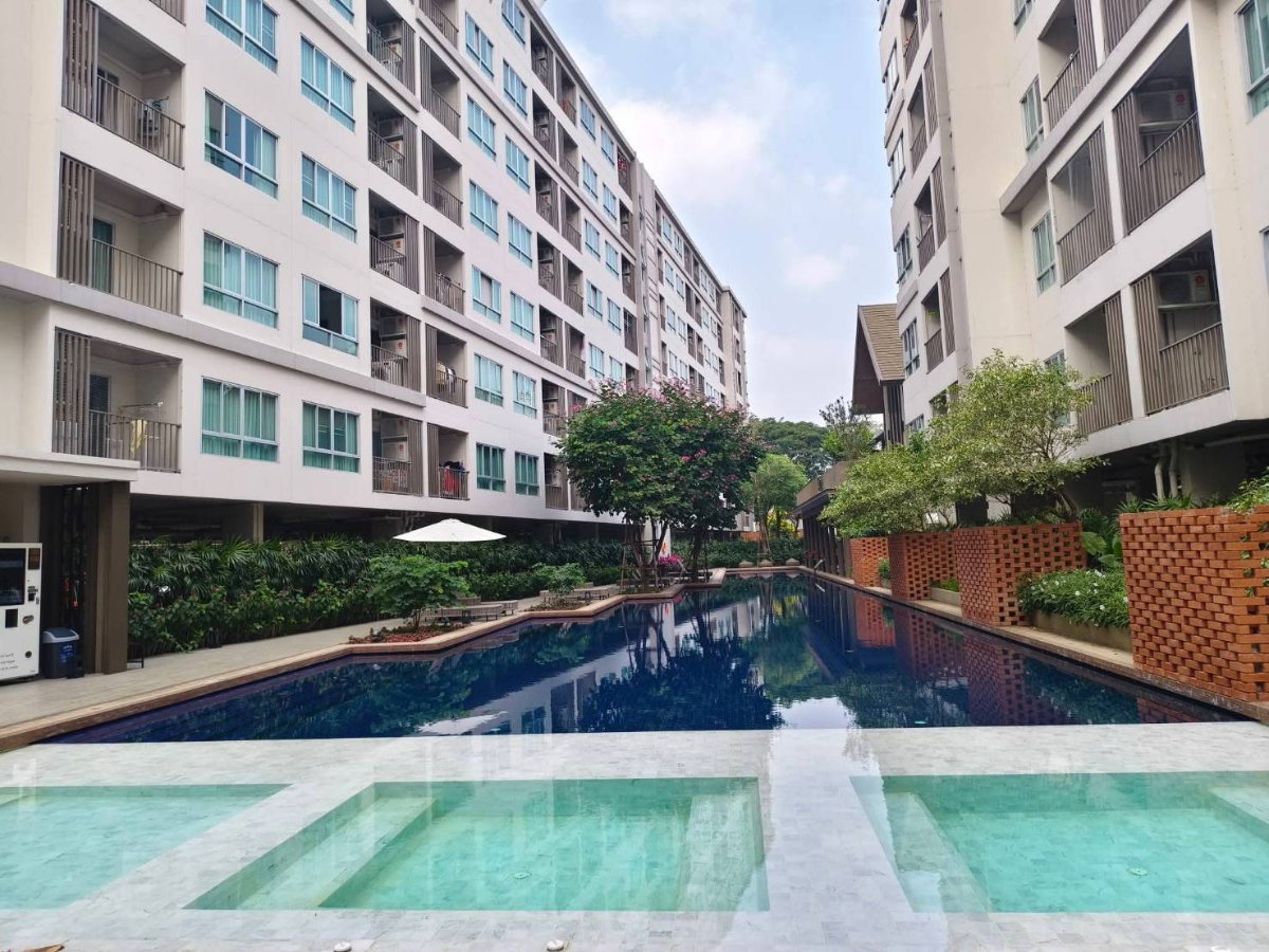 รูป ขาย ดีคอนโด ริน เชียงใหม่ ติดเซ็นทรัลเฟสติวัลเชียงใหม่ ติดถนนซุปเปอร์ไฮเวย์ เดินทางสะดวก (C504) T.0946511456 - รูปที่ 12/13