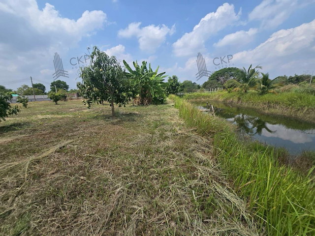รูป ขาย ที่ดินเปล่า 1 ไร่ ทำเลน่าอยู่ใกล้ตัวเมืองนครนายก รายล้อมด้วยตลาด เหมาะทั้งสร้างบ้านพักอาศัย บ้านสวน หรือซื้อเก็บเพื่อต่อยอดในอนาคต | รหัส 93333 - รูปที่ 8/11