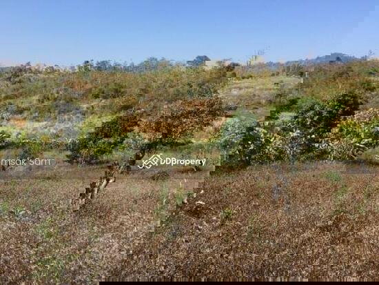 รูป ขายที่ดิน อ.ปาย จ.แม่ฮ่องสอน 12 ไร่ เหมาะสำหรับสร้างบ้านพักตากอากาศ ทำรีสอร์ท หรือซื้อไว้เก็งกำไร ฯลฯ - รูปที่ 3/3