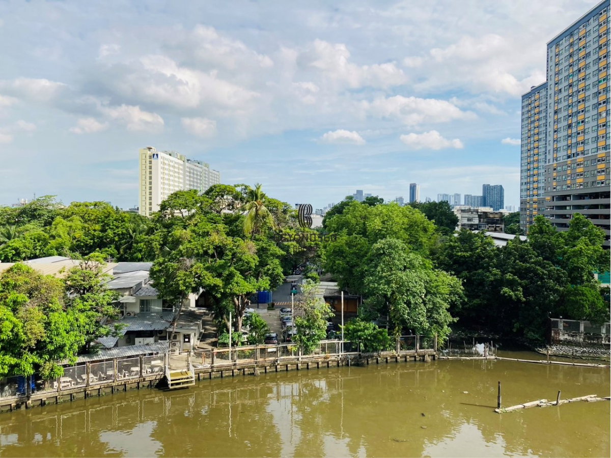 picture Kawa Haus      🌟PN-00006351🌟 - 17/23