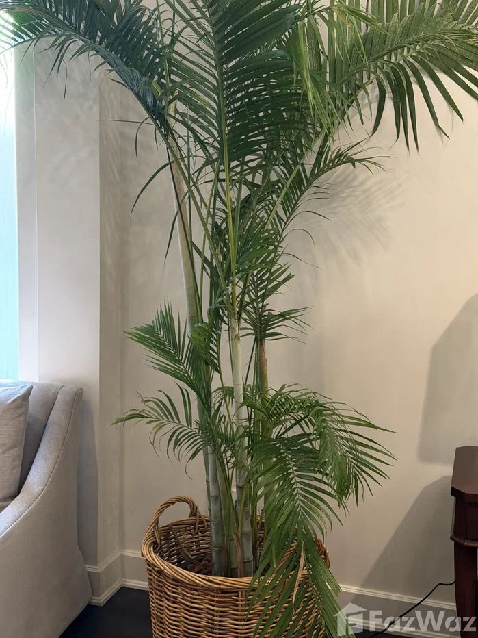 รูป คอนโดให้เช่า 2 ห้องนอน ในโครงการ หรรษา ราชดำริ 6116856 - รูปที่ 27/39