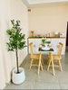 listing thumbnail image 26