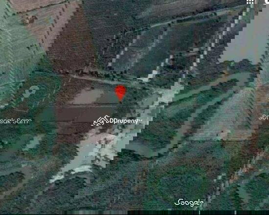 รูป ขายที่ดินใกล้สะพานมิตรภาพไทย-ลาว  จ.นครพนม - รูปที่ 3/4