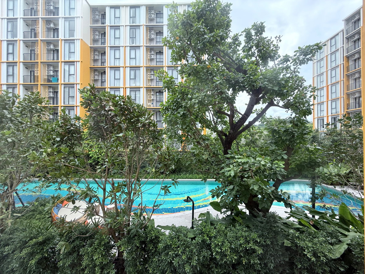 picture The Base Rise - 1 Bedroom Plus 35sq.m - 11/21