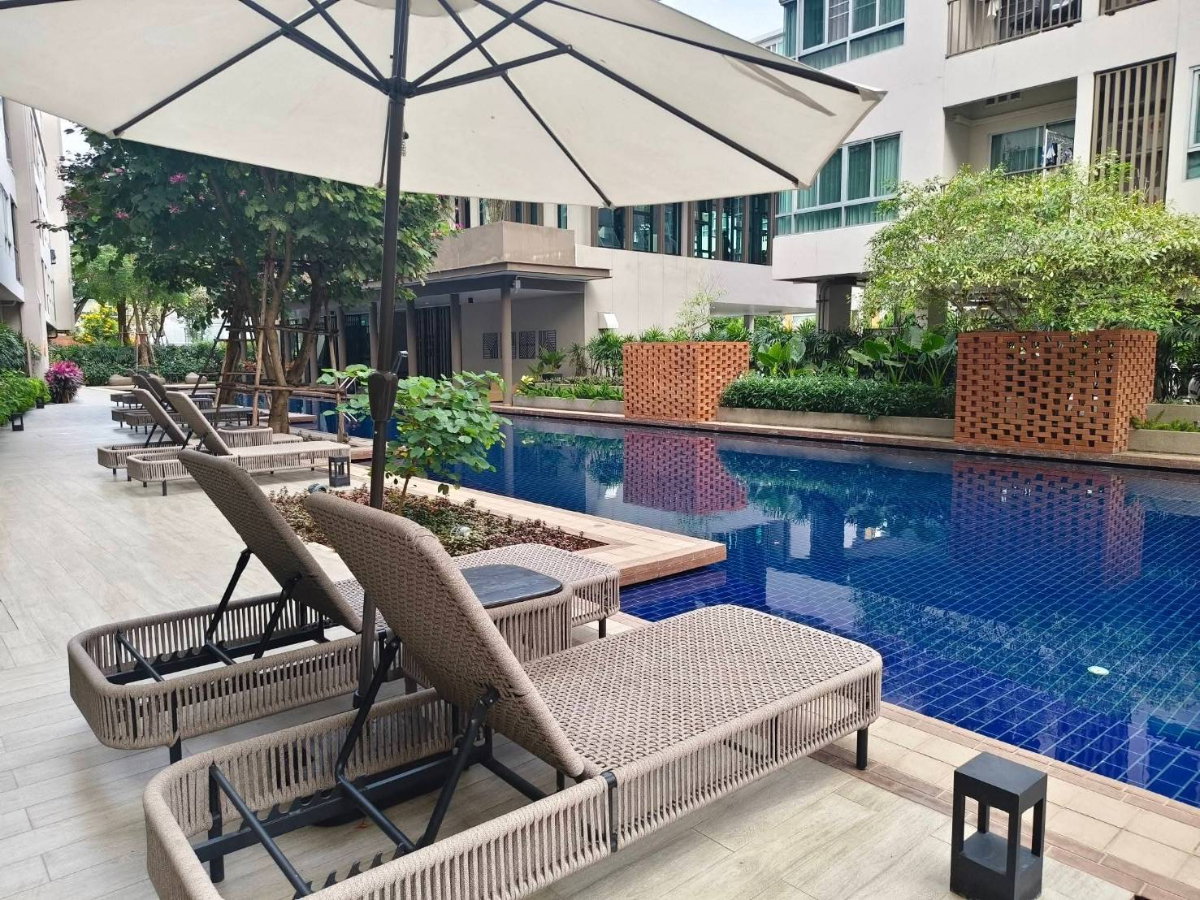 รูป ขาย ดีคอนโด ริน เชียงใหม่ ติดเซ็นทรัลเฟสติวัลเชียงใหม่ ติดถนนซุปเปอร์ไฮเวย์ เดินทางสะดวก (C504) T.0946511456 - รูปที่ 11/13