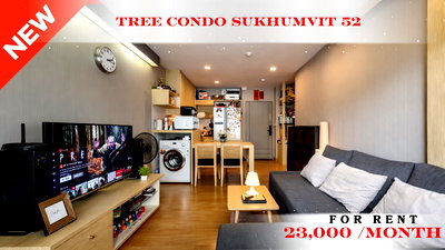 Condos for rent : 🍀🍀 Cozy Room 🌸🌼 For Rent 📌 Tree Condo Sukhumvit 52 (Line: @rent2022) | Near BTS On Nut  ✨ Ready to move in! ✨ 📌 Ref Code: A11033