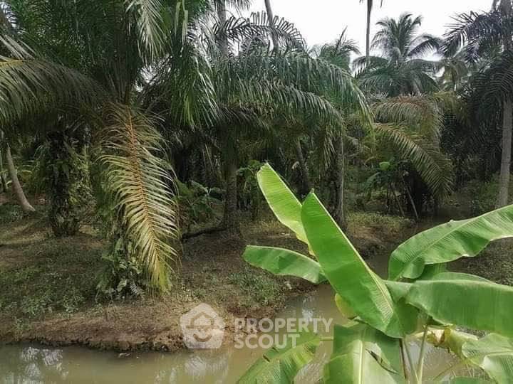 รูป ที่ดินสำหรับปล่อยขาย 19,200 ตารางเมตร แถว ใน เมืองสุราษฎร์ธาน (ID 2734435) - รูปที่ 6/7