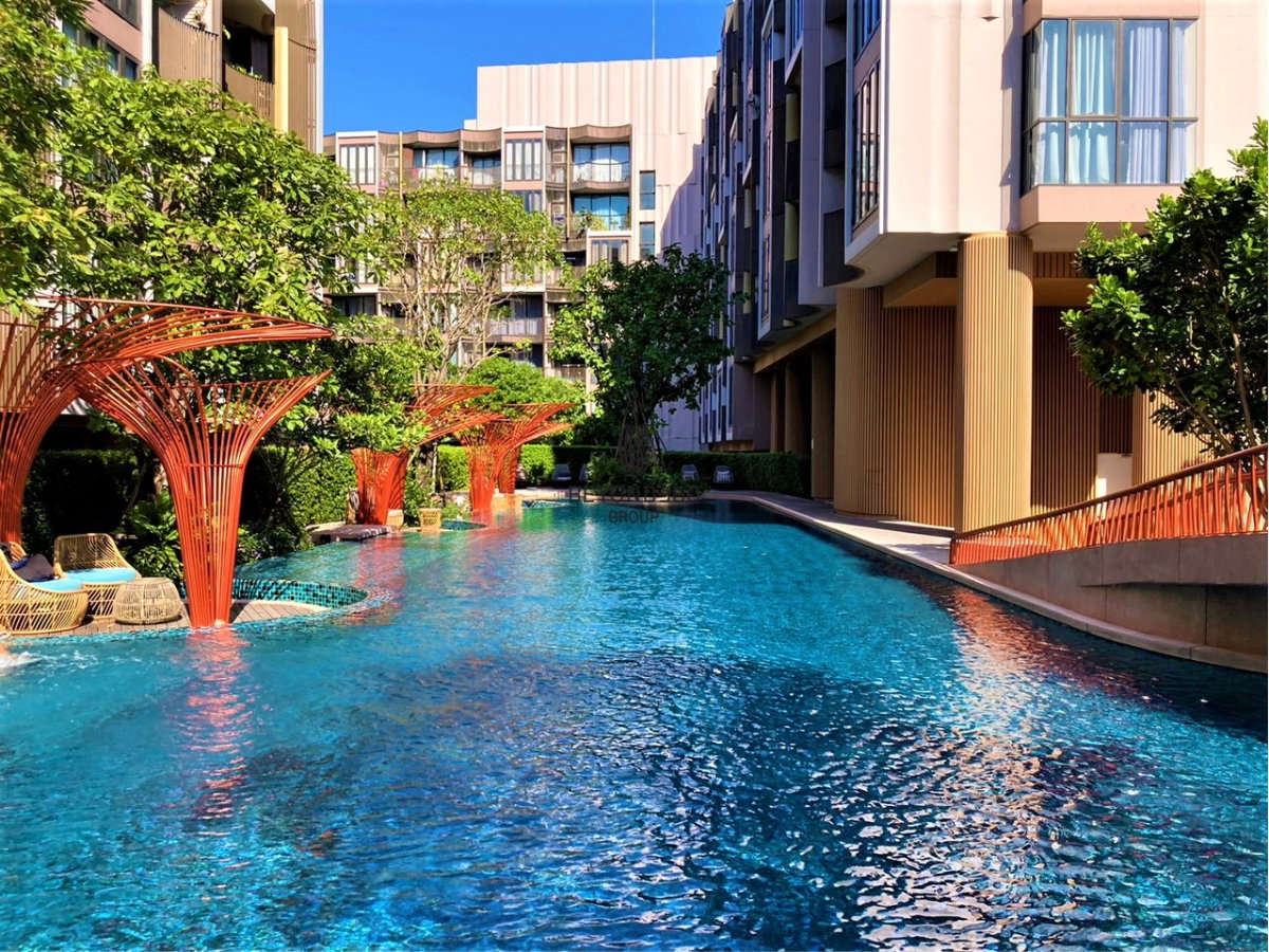 picture Kawa Haus      🌟PN-00006351🌟 - 23/23