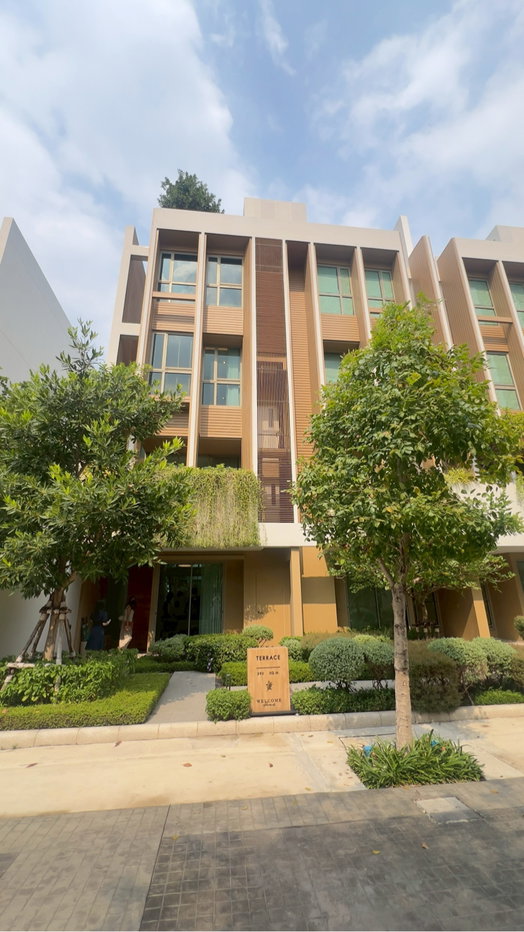 รูป ขายMayfield pinkloa ข้อเสนอที่ดีที่สุด - รูปที่ 3/18