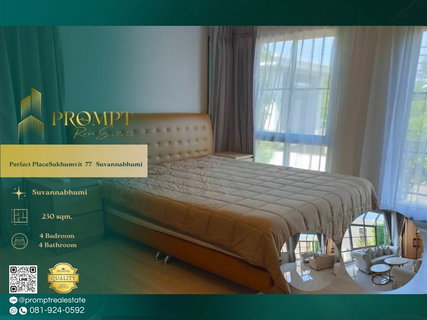 รูปภาพ OP02088 - Perfect Place Sukhumvit 77- Suvannabhumi : Suvannabhumi
