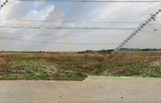 รูป ให้ เช่า ที่ดิน 14-2-31 ไร่ มาบคล้า คลองกิ่ว บ้านบึง ชลบุรี เหมาะทำโกดัง คลังสินค้า การเกษตร ฟาร์มเชิงท่องเที่ยว - รูปที่ 2/7