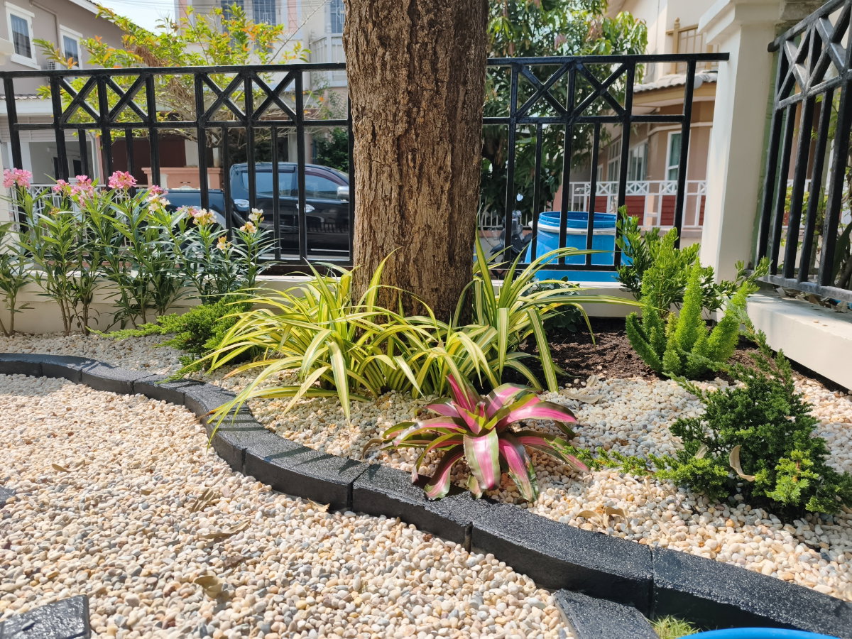 รูป ผลตอบแทน Yield >5% บ้านแฝดรีโนเวทตกแต่งพร้อมอยู่ ฟรีค่าใช้จ่าย ณ กรมที่ดิน - รูปที่ 19/22