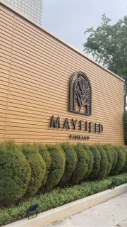 Mayfield pinkloa for sell. bestdealb