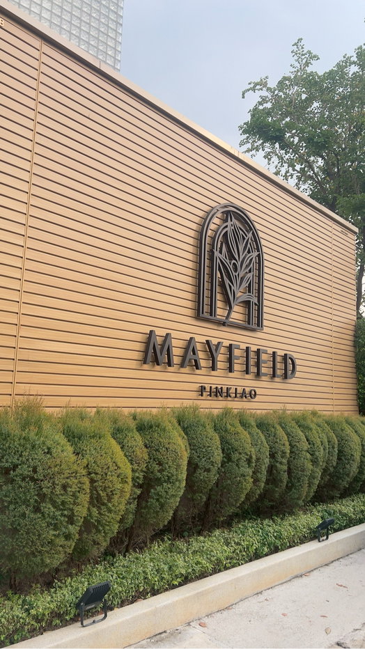 รูป ขายMayfield pinkloa ข้อเสนอที่ดีที่สุด - รูปที่ 1/18