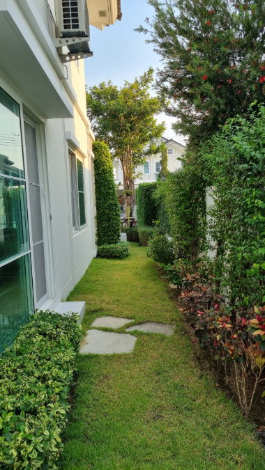 รูป P0632/ให้เช่าบ้านเดี่ยว 2 ชั้น โครงการ Villaggio Srinakarin ทำเลศรีนครินทร์–เทพารักษ์ - รูปที่ 11/14