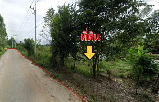 รูป ขายที่ดิน ฉะเชิงเทรา 64-1-20.4 ไร่ ต.เขาหินซ้อน อ.พนมสารคาม - รูปที่ 3/5