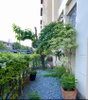 listing thumbnail image 47