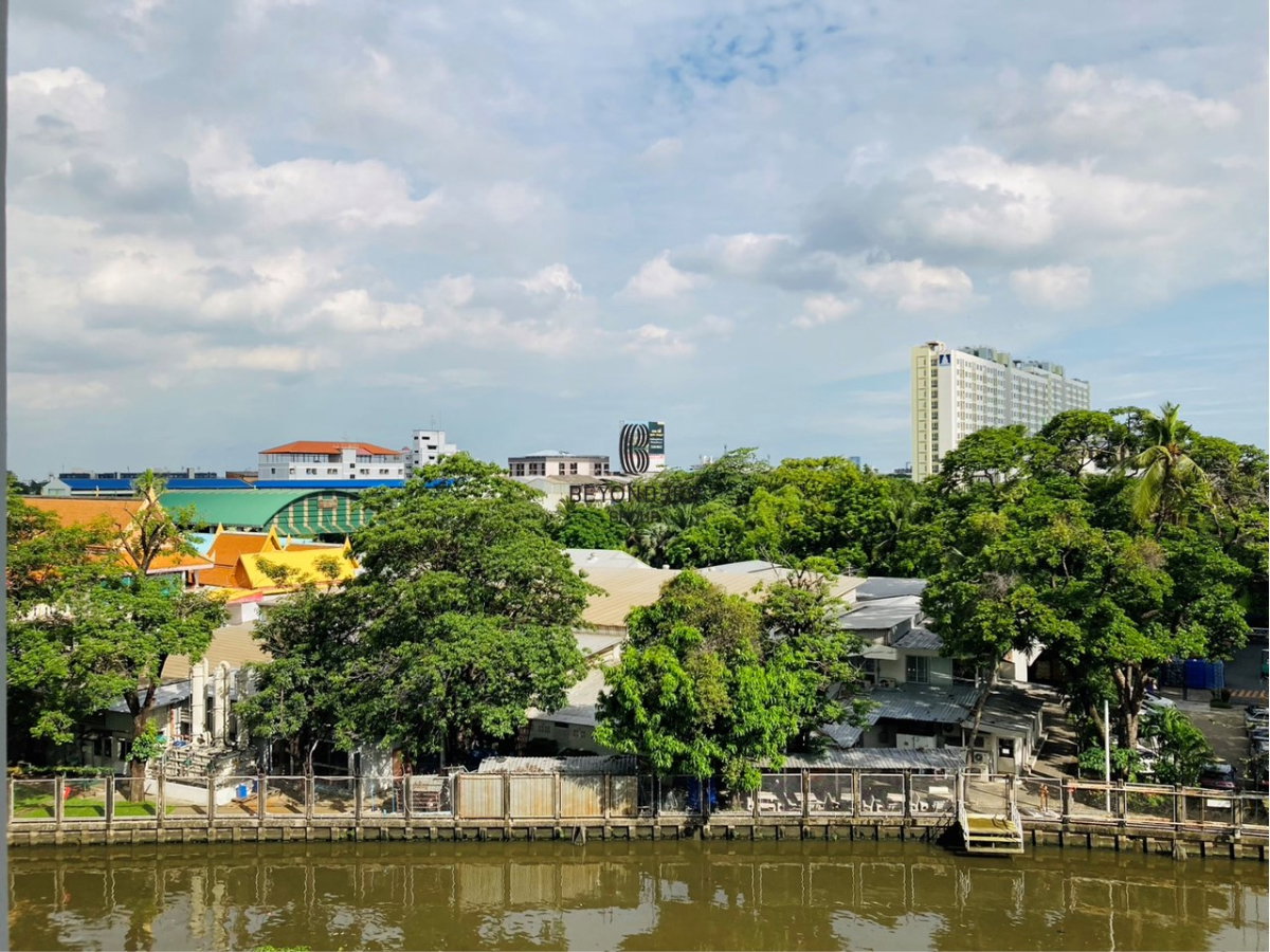 picture Kawa Haus      🌟PN-00006351🌟 - 16/23