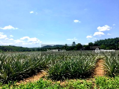 Land for sale : Land for sale, Khao Saming District, Trat Province,