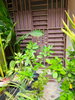 listing thumbnail image 50